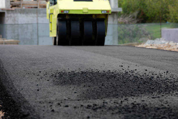 Best Driveway Pavers Cost  in Rio Bravo, TX